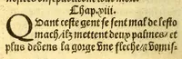 An illustration from Le voyage et nauigation, faict par les Espaignolz es Isles de Mollucques. Des isles quilz ont trouue audict voyage, des roys dicelles, de leur gouuernement & maniere de viure, auec plusiers aultres choses (1525)