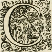 An illustration from Le vray et methodique cours de la physique resolutiue, vulgairement dite chymie : representé par figures generales & particulieres : pour connoistre la theotechnie ergocosmique, c'est à dire, l'art de Dieu, en l'ouurage de l'vniuers (1653)
