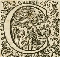 An illustration from Le vray et methodique cours de la physique resolutiue, vulgairement dite chymie : representé par figures generales & particulieres : pour connoistre la theotechnie ergocosmique, c'est à dire, l'art de Dieu, en l'ouurage de l'vniuers (1653)