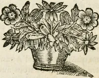 An illustration from Le vray et methodique cours de la physique resolutiue, vulgairement dite chymie : representé par figures generales & particulieres : pour connoistre la theotechnie ergocosmique, c'est à dire, l'art de Dieu, en l'ouurage de l'vniuers (1653)