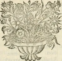 An illustration from Le vray et methodique cours de la physique resolutiue, vulgairement dite chymie : representé par figures generales & particulieres : pour connoistre la theotechnie ergocosmique, c'est à dire, l'art de Dieu, en l'ouurage de l'vniuers (1653)