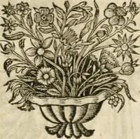 An illustration from Le vray et methodique cours de la physique resolutiue, vulgairement dite chymie : representé par figures generales & particulieres : pour connoistre la theotechnie ergocosmique, c'est à dire, l'art de Dieu, en l'ouurage de l'vniuers (1653)