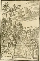 An illustration from Le vray et methodique cours de la physique resolutiue, vulgairement dite chymie : representé par figures generales & particulieres : pour connoistre la theotechnie ergocosmique, c'est à dire, l'art de Dieu, en l'ouurage de l'vniuers (1653)