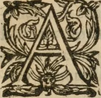 Picture 14 of 47 from Le Vray point d'honneur à garder en conservant pour vivre honorablement & paisiblement avec un chacun (1618), leaf 202