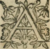 Picture 13 of 15 from Le Vray practicien françois, .. (1638), leaf 540