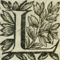 Picture 15 of 15 from Le Vray practicien françois, .. (1638), leaf 620