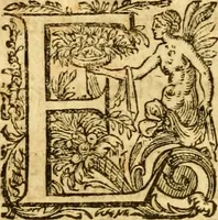 Picture 5 of 41 from Lexicon graecolatinum : seu, Epitome Thesauri graecae linguae ab Henrico Stephano constructi, quae hactenus sub nomine Ioh: Scapulae prodiit: lexicon sanè ultra praecedentes editiones, innumeris dictionibus, è probatis autoribus petitis, locupletatum .. (1616), leaf 13