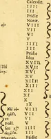 Picture 39 of 41 from Lexicon graecolatinum : seu, Epitome Thesauri graecae linguae ab Henrico Stephano constructi, quae hactenus sub nomine Ioh: Scapulae prodiit: lexicon sanè ultra praecedentes editiones, innumeris dictionibus, è probatis autoribus petitis, locupletatum .. (1616), leaf 1374