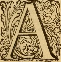 Picture 4 of 5 from Lexicon medicum Graeco-Latinum (1665), leaf 24