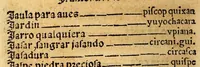 An illustration from Lexicon, o Vocabulario de la lengua general del Peru, (1560)