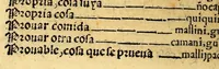 An illustration from Lexicon, o Vocabulario de la lengua general del Peru, (1560)