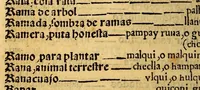An illustration from Lexicon, o Vocabulario de la lengua general del Peru, (1560)