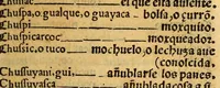 An illustration from Lexicon, o Vocabulario de la lengua general del Peru, (1560)