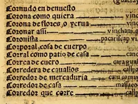 An illustration from Lexicon, o Vocabulario de la lengua general del Peru, (1560)