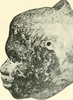 An illustration from L'expression des sentiments dans l'art grec : les facteurs expressifs (1914)