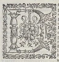 An illustration from Leyes y ordenanzas nuevamente hechas por Su Magestad, para la gouernacion de las Indias, y buen tratamiento, y conseruacion de los Indios: : que se han guardar en el consejo y audiencias reales que en ellas residen: y por todos los otros gouernadores, juezes y personas particulares dellas. (1585)