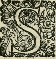 Picture 4 of 4 from Lezione (1692), leaf 8