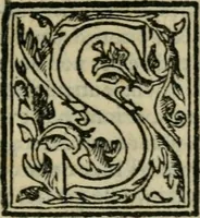 An illustration from Lezzione di m. Francesco de' Vieri fiorentino, detto il Verino secondo : per recitarla nell' Accademia fiorentina, nel consolato di m. Federigo Strozzi, l'anno 1580 : dove si ragiona delle idee et delle bellezze (1581)