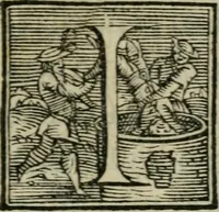 An illustration from Lezzione di m. Francesco de' Vieri fiorentino, detto il Verino secondo : per recitarla nell' Accademia fiorentina, nel consolato di m. Federigo Strozzi, l'anno 1580 : dove si ragiona delle idee et delle bellezze (1581)