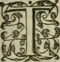 An illustration from L'histoire de la conqveste des pays de Bresse et de Savoye, par le Roy treschrestien (1601)