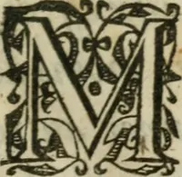 An illustration from L'histoire de la conqveste des pays de Bresse et de Savoye, par le Roy treschrestien (1601)