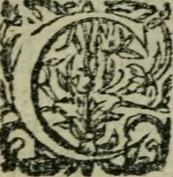 An illustration from L'histoire de la naissance, progrez, et decadence de l'heresie de ce siecle. Divisee en hvit livres (1611)