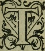 An illustration from L'histoire de la naissance, progrez, et decadence de l'heresie de ce siecle. Divisee en hvit livres (1611)
