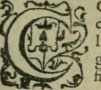 An illustration from L'histoire de la naissance, progrez, et decadence de l'heresie de ce siecle. Divisee en hvit livres (1611)
