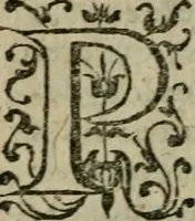 An illustration from L'histoire de la naissance, progrez, et decadence de l'heresie de ce siecle. Divisee en hvit livres (1611)