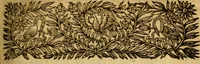 An illustration from L'Histoire des François (1668)