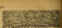 An illustration from L'Histoire des François (1668)
