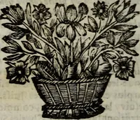 An illustration from L'Histoire du cardinal Mazarin. (1695)