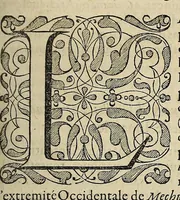 An illustration from L'histoire du nouveau monde ou Description des Indes Occidentales, : contenant dix-huict liures, (1640)