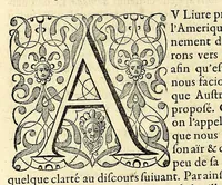 An illustration from L'histoire du nouveau monde ou Description des Indes Occidentales, : contenant dix-huict liures, (1640)