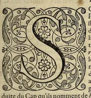 An illustration from L'histoire du nouveau monde ou Description des Indes Occidentales, : contenant dix-huict liures, (1640)
