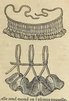 Picture 22 of 27 from L'histoire du nouveau monde ou Description des Indes Occidentales, : contenant dix-huict liures, (1640), leaf 551