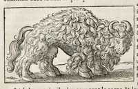 Picture 12 of 66 from L'histoire dv Nouveau monde, ou, Description des Indes occidentales : contenant dix-huict liures (1640), leaf 122