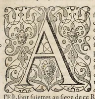 An illustration from L'histoire dv Nouveau monde, ou, Description des Indes occidentales : contenant dix-huict liures (1640)