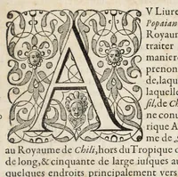 An illustration from L'histoire dv Nouveau monde, ou, Description des Indes occidentales : contenant dix-huict liures (1640)