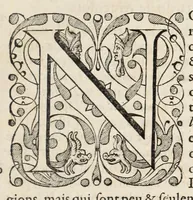 An illustration from L'histoire dv Nouveau monde, ou, Description des Indes occidentales : contenant dix-huict liures (1640)
