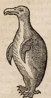 Picture 27 of 66 from L'histoire dv Nouveau monde, ou, Description des Indes occidentales : contenant dix-huict liures (1640), leaf 359