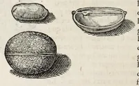 Picture 7 of 66 from L'histoire dv Nouveau monde, ou, Description des Indes occidentales : contenant dix-huict liures (1640), leaf 38
