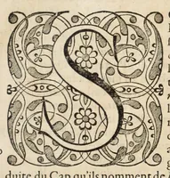 Picture 33 of 66 from L'histoire dv Nouveau monde, ou, Description des Indes occidentales : contenant dix-huict liures (1640), leaf 399