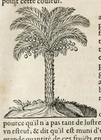Picture 38 of 66 from L'histoire dv Nouveau monde, ou, Description des Indes occidentales : contenant dix-huict liures (1640), leaf 422