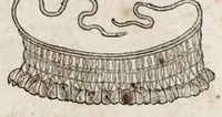 Picture 39 of 66 from L'histoire dv Nouveau monde, ou, Description des Indes occidentales : contenant dix-huict liures (1640), leaf 423