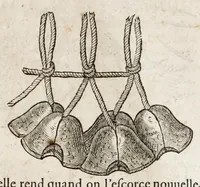 Picture 40 of 66 from L'histoire dv Nouveau monde, ou, Description des Indes occidentales : contenant dix-huict liures (1640), leaf 423