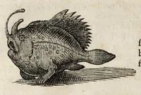 Picture 50 of 66 from L'histoire dv Nouveau monde, ou, Description des Indes occidentales : contenant dix-huict liures (1640), leaf 436