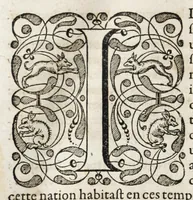 Picture 51 of 66 from L'histoire dv Nouveau monde, ou, Description des Indes occidentales : contenant dix-huict liures (1640), leaf 462
