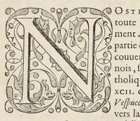 An illustration from L'histoire dv Nouveau monde, ou, Description des Indes occidentales : contenant dix-huict liures (1640)