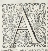 An illustration from L'histoire dv Nouveau monde, ou, Description des Indes occidentales : contenant dix-huict liures (1640)